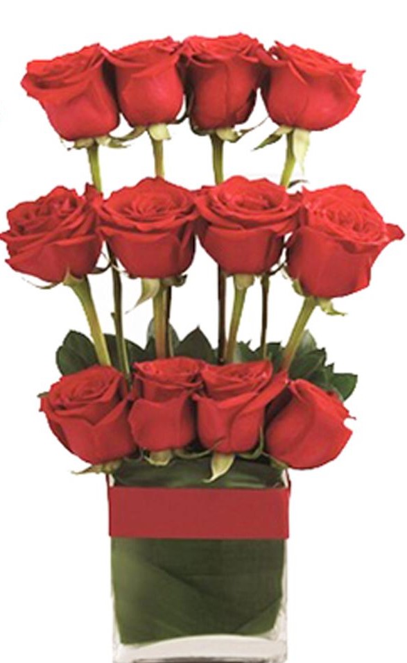 Vase Arrangement of 12 Red Rose