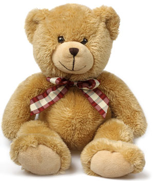 Huggable Teddy
