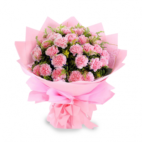 Baby Pink Carnation Bunch