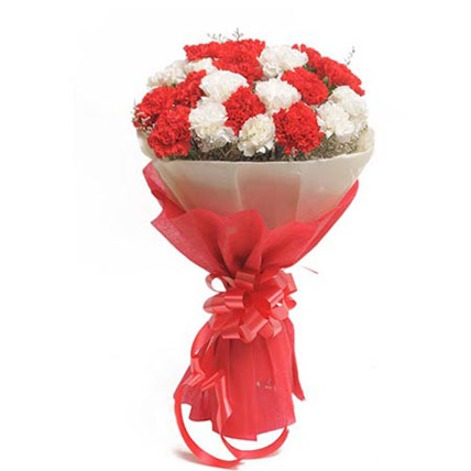 send flower Hari nagar DelhiRed & White Carnation Bunch 