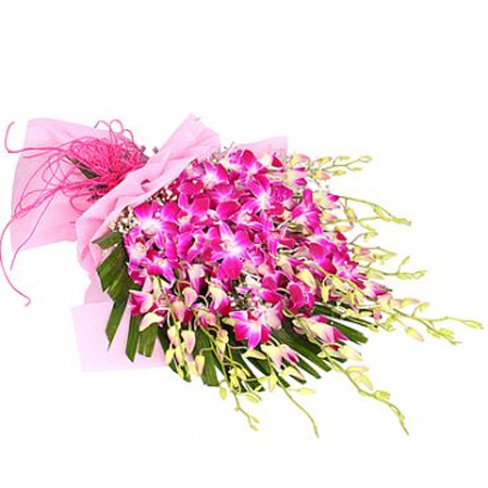 send flower East of Kailash DelhiBunch of 15 Orchids in Paper Packing