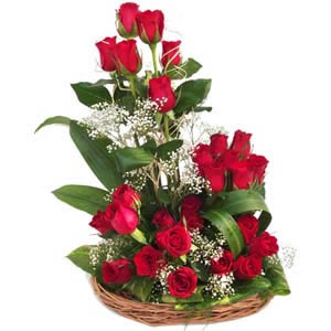 send flower Shastri Nagar DelhiRapturous  Red