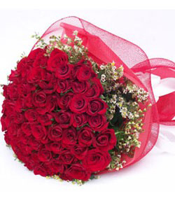 send flower Sahpurjat DelhiDazzling RED