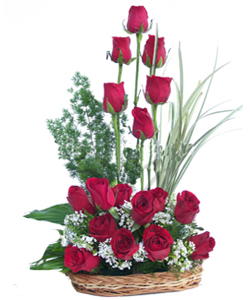 send flower Alaknanda DelhiI want RED