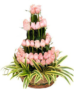 send flower Pitampura DelhiField Of Pink Roses 