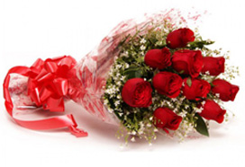 send flower Palam VillageEnchanting Red