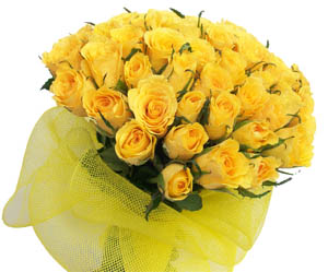 send flower Kailash Colony DelhiThe Orphic Yellow