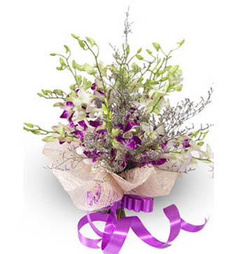 send flower Subhash Nagar DelhiExotic Orchids