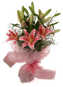 Captivating Pink Oriental Lilies