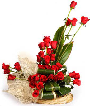 send flower Palam VillageRose is Rose