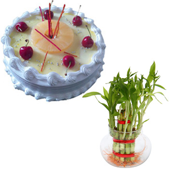 1/2kg Pineapple cake with lucky bamboo