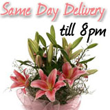 Same Day Flowers and Cakes to Delhi