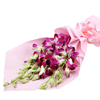 send flower Hazrat Nizamuddin Delhi6 Purple orchids in pink paper bunch