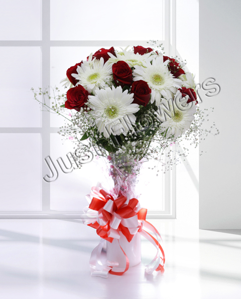 12 Red & White Roses Gerbera Bunch